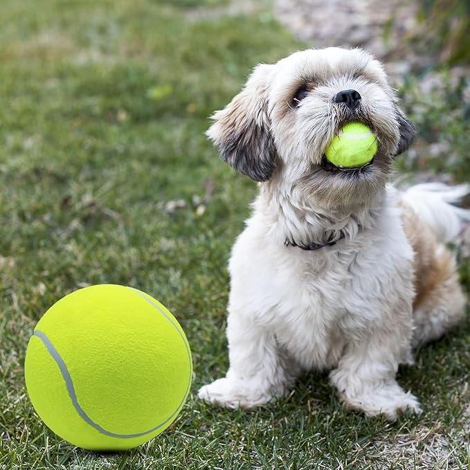 Magicorange 4 Pack 9.5 inch Giant Tennis Ball Large Dog Tennis Ball Pet Balls for Dogs for Outdoor/Indoor Sports Dog Gift with Needle (Yellow, 9.5 inch)