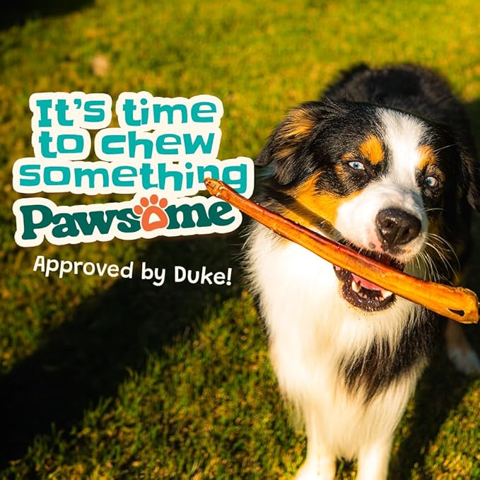 Bully Sticks 12" — 5 Count | Natural Single-Ingredient, Long-Lasting Dog Chews for Medium & Large Dogs; Dental Support, Power-Chewer Treats