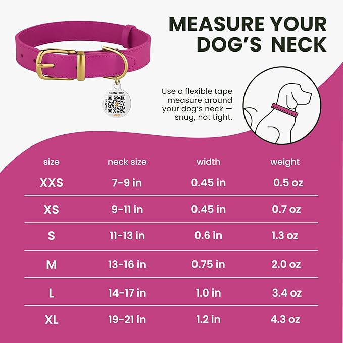 BRONZEDOG Leather Dog Collar with Metal Buckle Durable Basic Pet Collars for Small Medium Large Dogs (14-17 Inch (Pack of 1), Pink & Gold Buckle)