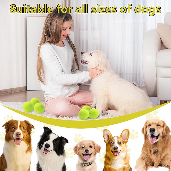 Swingers Squeaky Tennis Balls for Dog,2.5 inch Training Tennis Balls,Exercise Ball for Pet Dog with Mesh Carry Bag Easy to Transport (Multicolor, 24 Pack)