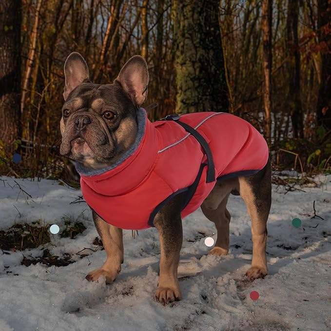 IECOii Extra Warm Dog Coat - Reflective, Adjustable Winter Jacket with Buckle & Turtleneck for Small to Extra Large Dogs