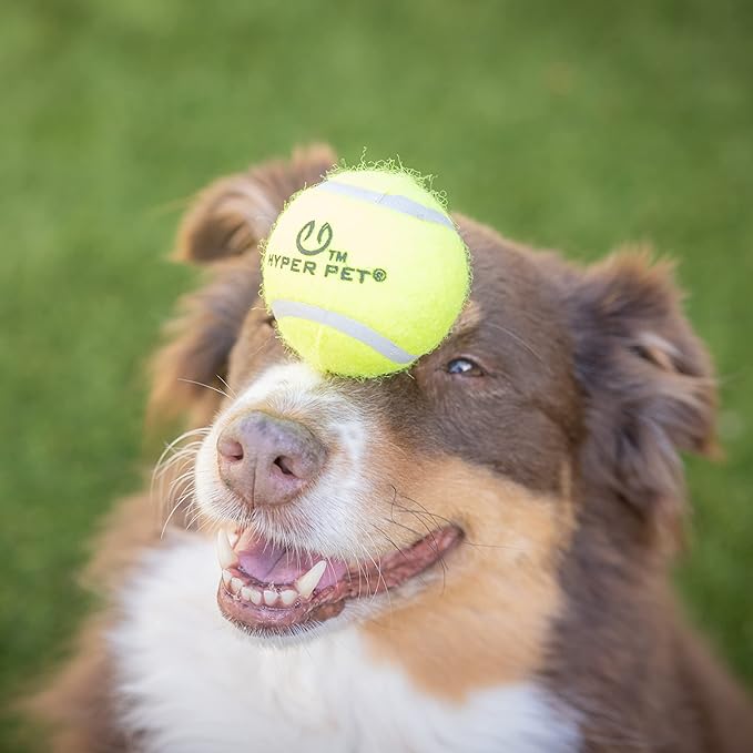 Hyper Pet Tennis Balls for Dogs (Safe Dog Ball, Tennis Balls for Exercise & Training) Interactive Toys work with Hyper Pet K9 Kannon K2 Dog Ball Launcher - 4 Pack 2.5" Green