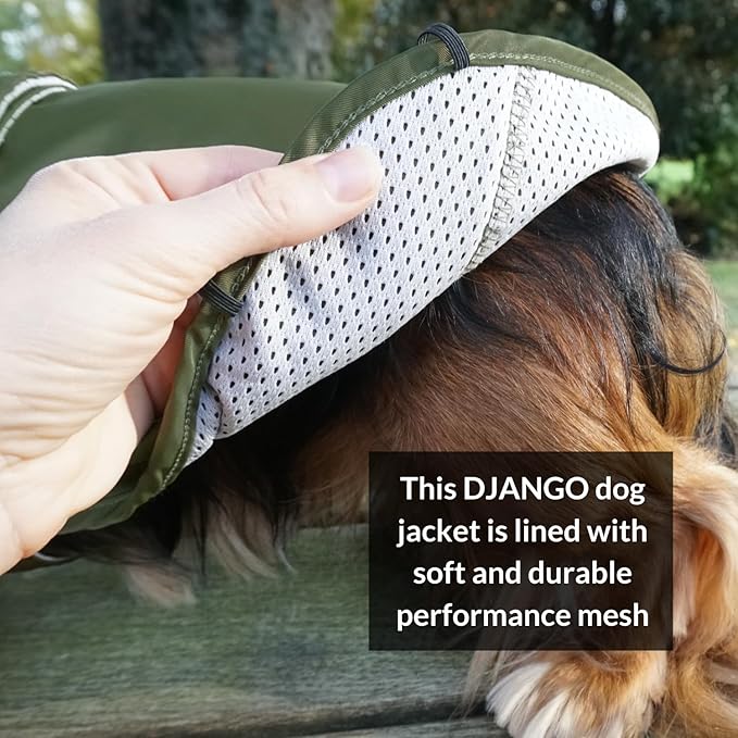DJANGO Dog Jacket & Raincoat – Lightweight Water-Resistant Coat for Small, Medium & Long Dogs Like Dachshunds – Reflective, Adjustable Fit, Harness-Compatible & Easy-Access Harness Hole - Green Medium