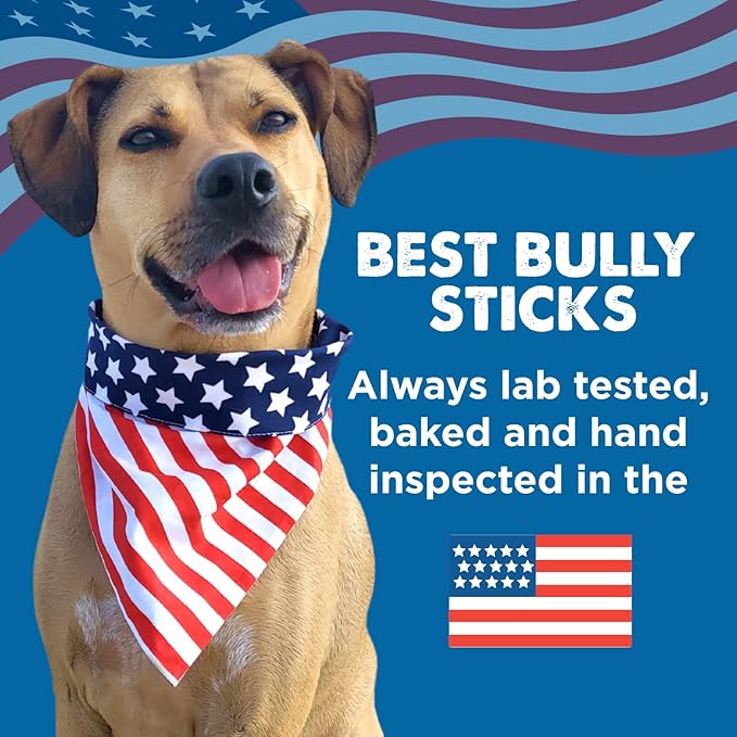 Best Bully Sticks Jumbo Bully Sticks - 12 Inch, 25 Count (Pack of 1) - Natural, Grass-Fed Beef, Single Ingredient, Grain-Free, Rawhide Alternative, Dog Treats for Large Dogs