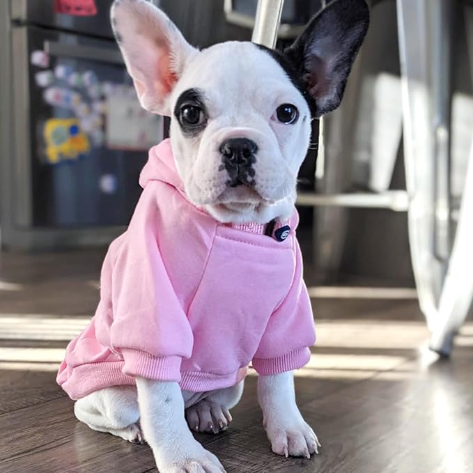 Jecikelon Winter Dog Hoodie Sweatshirts with Pockets Warm Dog Clothes for Small Dogs Chihuahua Coat Clothing Puppy Cat Custume (Pink, Small)