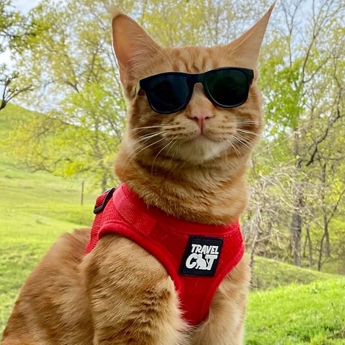 Travel Cat Harness and Leash Set - Adjustable Fit Mesh Cat Harness and Reflective Strap - Comfort Escape Proof Harness for Cats, Kitten for Outdoor Walking, Hiking (Large, Red)