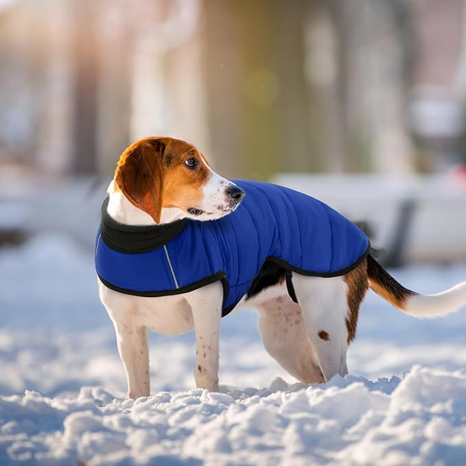 IDOMIK Dog Winter Coat, Warm Waterproof Dog Puffer Jacket with Harness Hole, Adjustable Reflective Snow Jacket Vest with Turtleneck, Pet Cold Weather Coats for Large Dogs,Blue,L