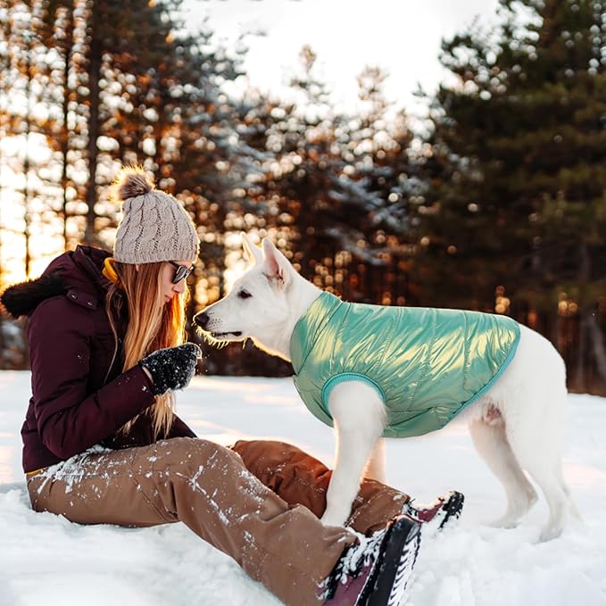 ASENKU Dog Winter Coat - Waterproof Windproof Dog Jacket, Warm Snowproof Doggie Puffer Vest for Cold Weather, Lightweight Snow Coats for Small Medium Large Dogs (Mint Green, XL)