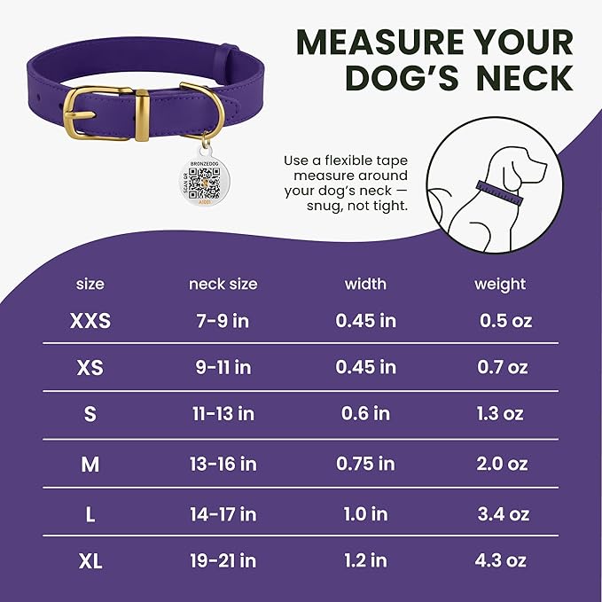 BRONZEDOG Leather Dog Collar with Metal Buckle Durable Basic Pet Collars for Small Medium Large Dogs (19-21 Inch (Pack of 1), Purple & Gold Buckle)
