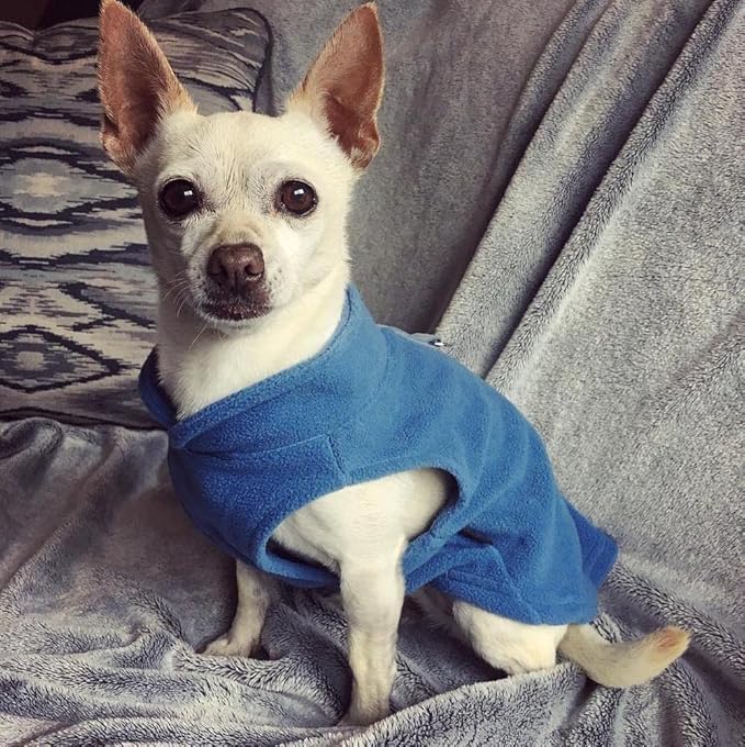 Gooby - Fleece Vest, Small Dog Pullover Fleece Jacket with Leash Ring, Blue, Small