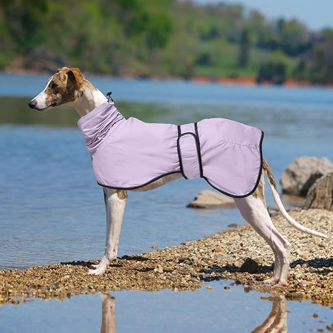 Dog Raincoat with Reflective Bar, Rain/Water Resistant, Adjustable Vest - Dog Raincoats for Greyhounds, Lurchers and Whippets - Purple - L