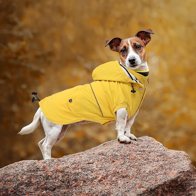 Dog Raincoat Waterproof Raincoats Dog rain Jacket Buttons Zipper Hood Drawstring Suitable for Small Medium Yorkie Terrier Schnauzer Poodle Border Collie Labrador 8lbs to 80lbs Yellow XL