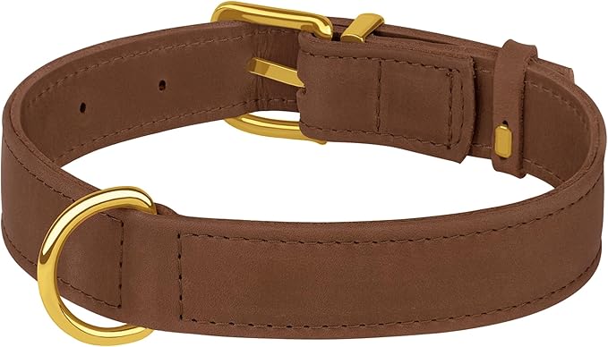 Leather Dog Collar - Heavy Duty Adjustable Soft Padded Pet Collars for Small Medium Large Dogs Breed - Black Green Brown Pink Red Blue (Cognac, L, 15"-19" Neck Fit)