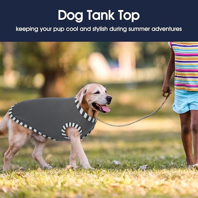 IECOii 2 Pack Dog T-Shirt for Small Dogs | Breathable Stretch Fit for Summer, UV Sun Protection for Chihuahua & Cats, Grey+Blue,M