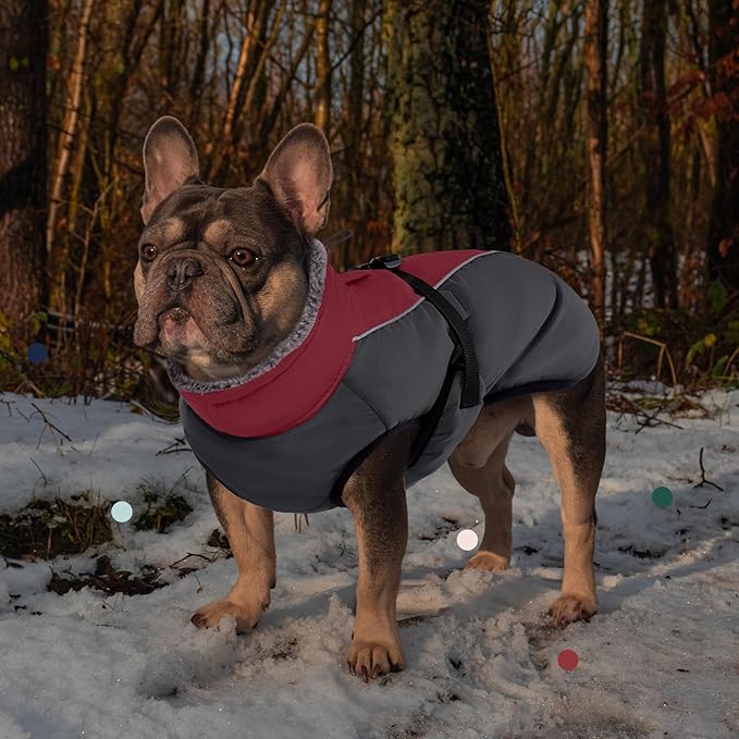 IECOii Extra Warm XXL Dog Coat - Reflective, Adjustable Dog Jacket for Cold Weather Outdoor, Waterproof Windproof Dogs Winter Jacket with Soft Fleece, Machine Washable for Large Dogs, Burgundy, 2XL