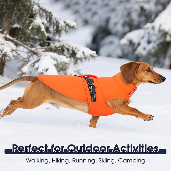 IECOii Fleece Dog Coat - Water-Resistant & Reflective & Adjustable, Fleece Lined Snow Jacket for City Walks, Windproof & Warm Winter Vest Labrador & Golden Retriever & Doberman, Orange, Size 3XL