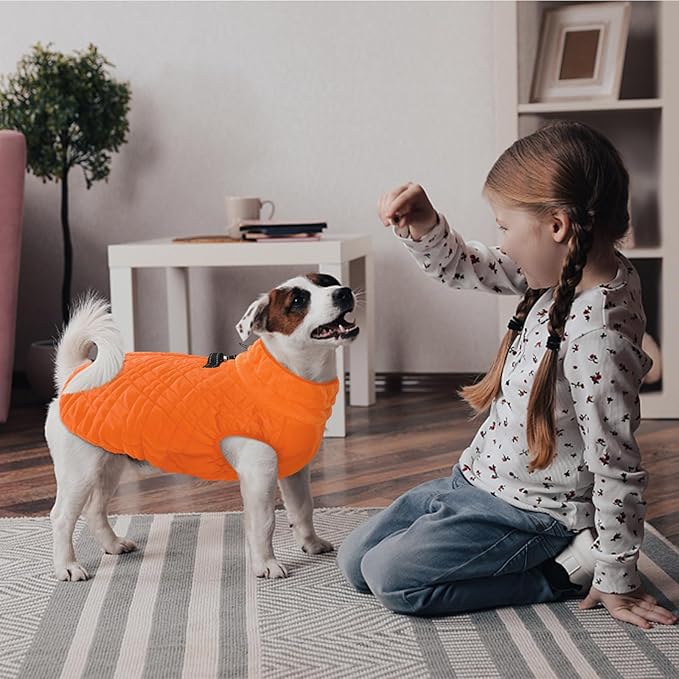 Kuoser XXXL Thermal Dog Suit | Extra Giant Apparel for St. Bernards | D-Ring Safety System Prevents Escape During Storms, Orange XXL