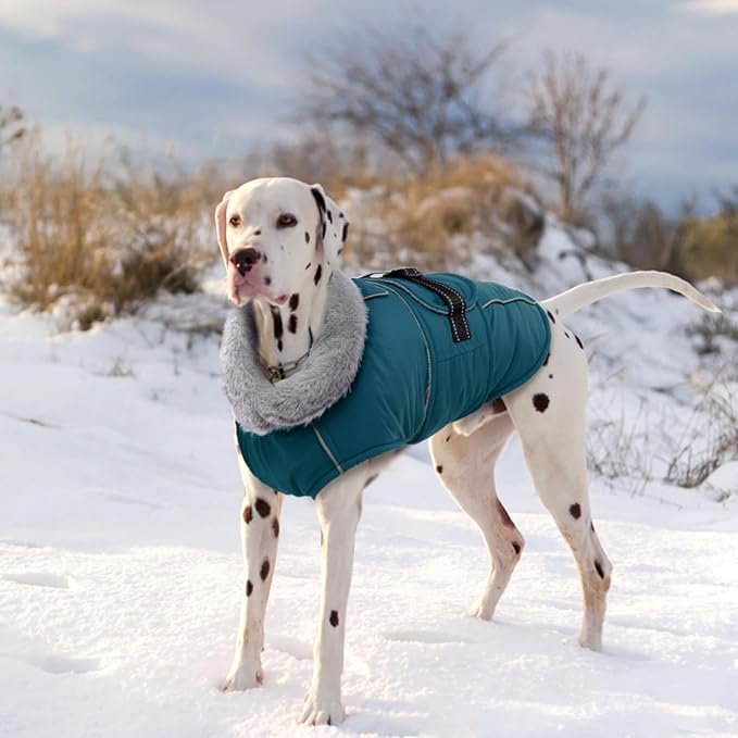 Lelepet Warm Dog Coats for Medium Dogs Waterproof Dog Winter Jacket Reflective Pet Fleece Vest Windproof Cold Weather Coats with Adjustable Buckle & Leash Hole, Dark Green, M