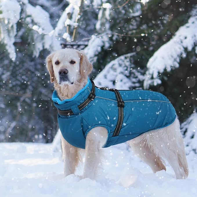 Lelepet Dog Coat for Large Dogs Waterproof Dog Jacket with Harness Built in Reflective Windproof Fleece Jacket with Zip Cold Weather Coats for Dogs,Thermal Outdoor Snowsuit, Weimaraner, Blue, XXL
