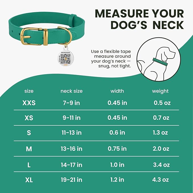 BRONZEDOG Leather Dog Collar with QR ID Tag Basic Pet Collars for Small Mini Dogs Cats Puppies (9-11 Inch (Pack of 1), Green & Gold Buckle)