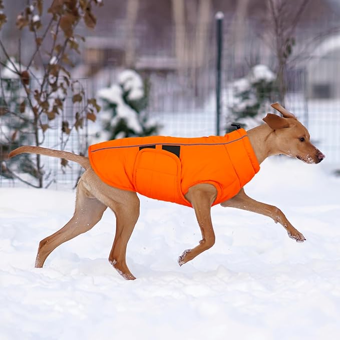 Kuoser Dog Jacket, Winter Dog Coats for Medium Dogs, Reflective Doggie Cold Weather Coats Pet Clothes, Puppy Snow Jacket for Frech Bulldog, Boston Terrier, Orange L