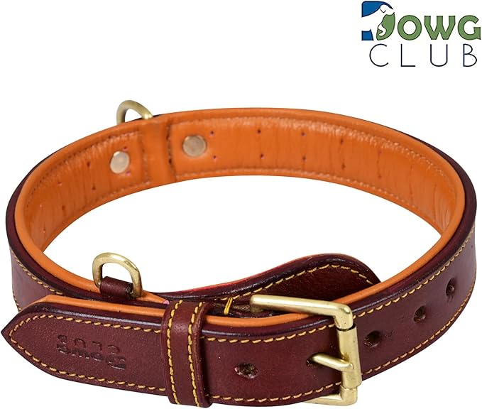 Genuine Leather Dog Collar – Full Grain, Breathable Inner Padding, Padded Buckle – Heavy Duty, Adjustable for Small, Medium, Large & XL Breeds (Dark Brown, M (Fit Neck Size 14.5"-18.5"))