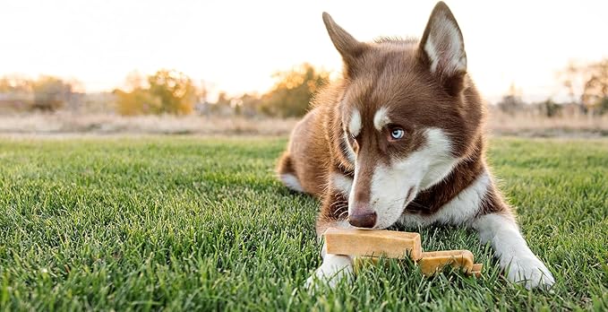 peaksNpaws Himalayan Dog Chew, Yak Cheese Dogs Treats, High Protein, Long Lasting Chews, Natural, Lactose Free Dogs Treat for Aggressive Chewers Over 80 lbs, 3 Jumbo Treats