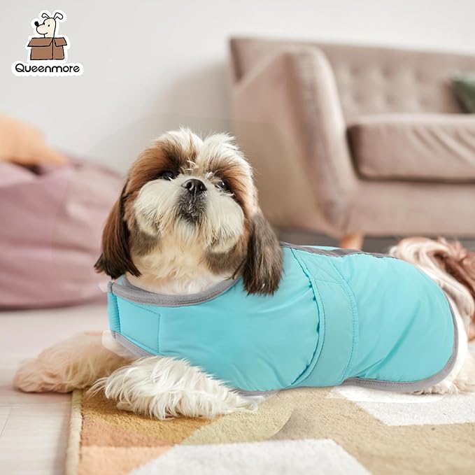 Queenmore Dog Winter Coat, Fleece Puffer Dog Down Vest, Cold Weather Pet Jacket for Dogs, Waterproof Reflective Reversible Dog Sweater Clothes for Small, Medium and Large Dogs (Light Blue, M)