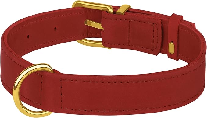 Leather Dog Collar - Heavy Duty Adjustable Soft Padded Pet Collars for Small Medium Large Dogs Breed - Black Green Brown Pink Red Blue (Red, XL, 19"-24" Neck Fit)