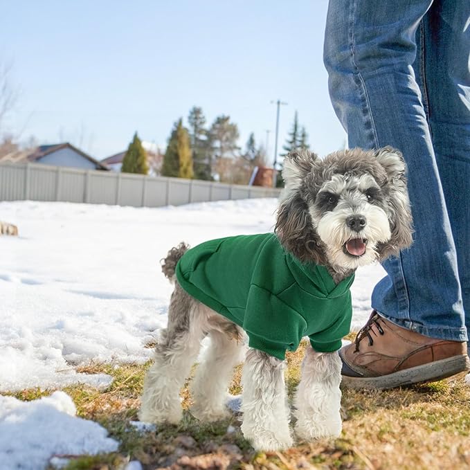 SCENEREAL Dog Hoodie Sweaters for Small Medium Large Size Dogs, Fleece Dog Sweatshirt with Hat and Pocket,Soft Cold Winter All Weather Dog Clothes for S to XL Sized Dogs, Green L