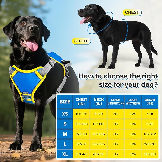 No Pull Dog Harness, 2 in 1 Retractable Harness with Auto-Lock, Reflective Breathable Mesh and Handle, Adjustable Leash Set for Small, Medium,Large Dogs,Cats (Color 2, L)
