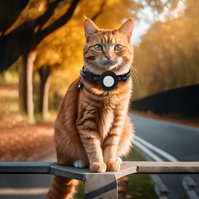 Airtag Cat Collar with Bell, Reflective Nylon Kitten Collar with Apple Air Tag Holder and Breakaway Safety Buckle for Puppy Girl Boy Cats, 3/8" in Width and Lightweight, Fluorescent