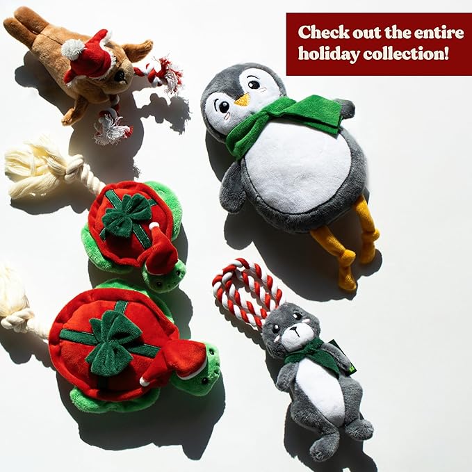 Dog Toys | Holiday Plush Toy Turtle Stuffed Animal for Dogs | Small Eco Friendly Toy - Easy to Clean and Made from Non Toxic Materials