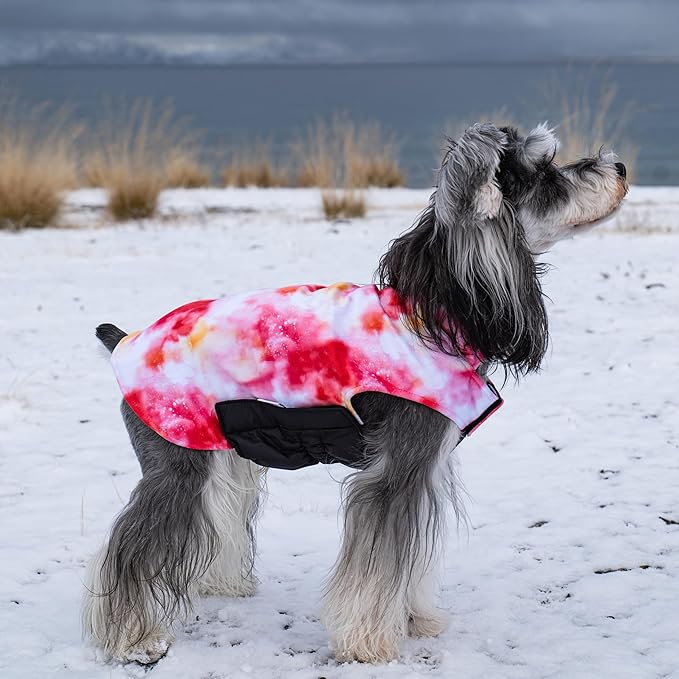 GMF Bone Winter Dog Jacket - Reversible, Soft, Thick & Windproof - Small to Large Sizes - Waterproof - Leash Hole - Cold Weather Coats