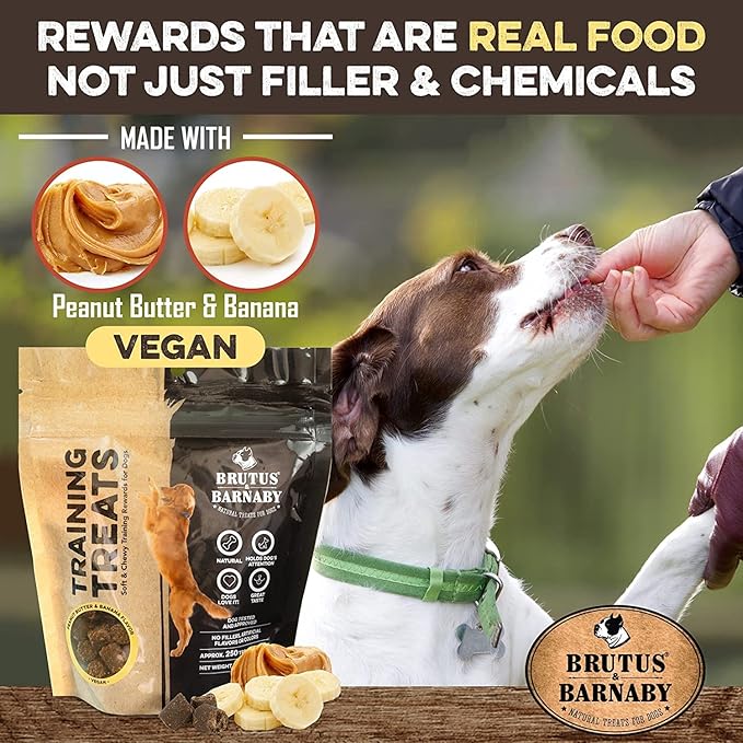Training Treats for Dogs - Peanut Butter & Banana - All-Natural Healthy Low Calorie Vegan Treat - Great to Use for Rewards in Training Your Puppy Or Dog