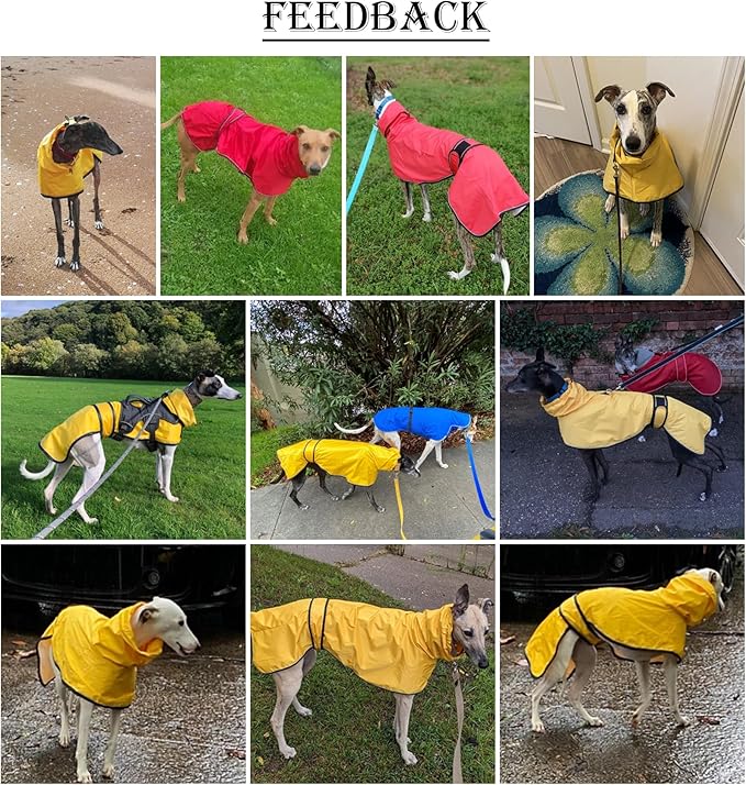 Dog Raincoat with Reflective Bar, Rain/Water Resistant, Adjustable Vest - Dog Raincoats for Greyhounds, Lurchers and Whippets - Purple - XL