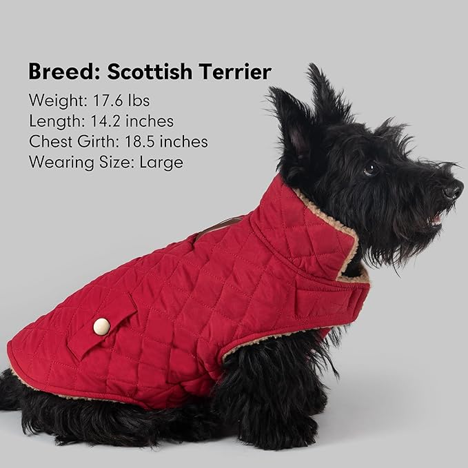 azuza Dog Jacket Waterproof & Windproof Dog Coat for Small Dogs with Thick Fleece, High Collar with Leash Hole, Adjustable Velcro & Elastic Belly, Red XL