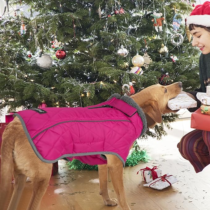 Fragralley Dog Coat Small, Waterproof Dog Jacket with Warm Fleece Lining, Adjustable Reflective Dogs Winter Coat, Turtleneck Pet Coats for Cold Weather (Rose Pink S)