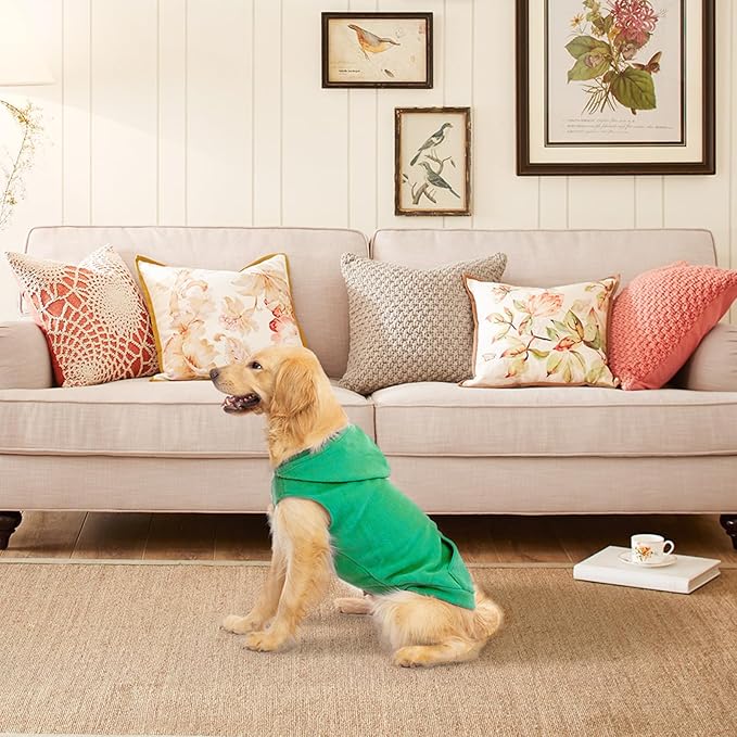 EXPAWLORER Dog Hoodie Fleece Sweater Vest, Hooded Dog Sweatshirt Fall Winter Pet Clothes with Leash Hole, Sleeveless Warm Cozy Puppy Clothing for Cat Small Medium Large Dogs Girl Boy, Green L