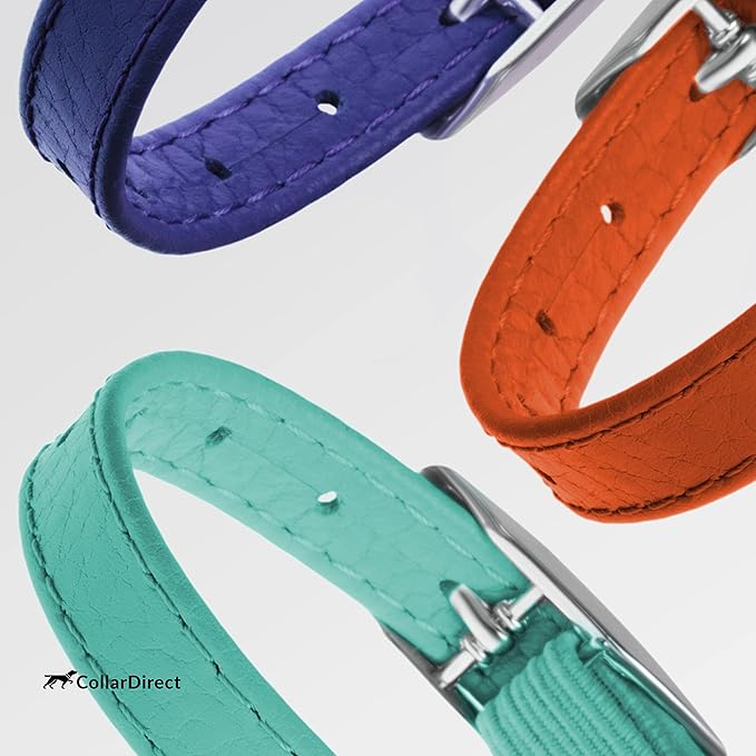 CollarDirect Leather Cat Collar, Cat Safety Collar with Elastic Strap, Kitten Collar for Cat with Bell Black Blue Red Orange Lime Green (Neck Fit 6"-7", Orange)