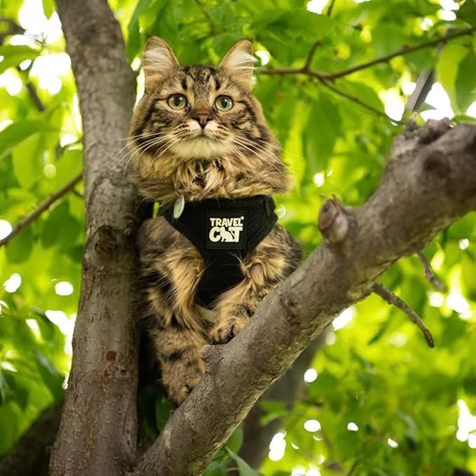 Travel Cat Harness and Leash Set - Adjustable Fit Mesh Cat Harness and Reflective Strap - Comfort Walking Vest for Kitten for Outdoor Walking, Hiking (Large, Black)