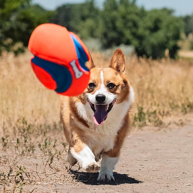 Chuckit! Fumble Fetch Dog Football - Outdoor and Indoor Interactive Dog Toy with Grooved Design for Easy Pickup - Made from Durable Rubber - Floats in Water - Small - Orange and Blue