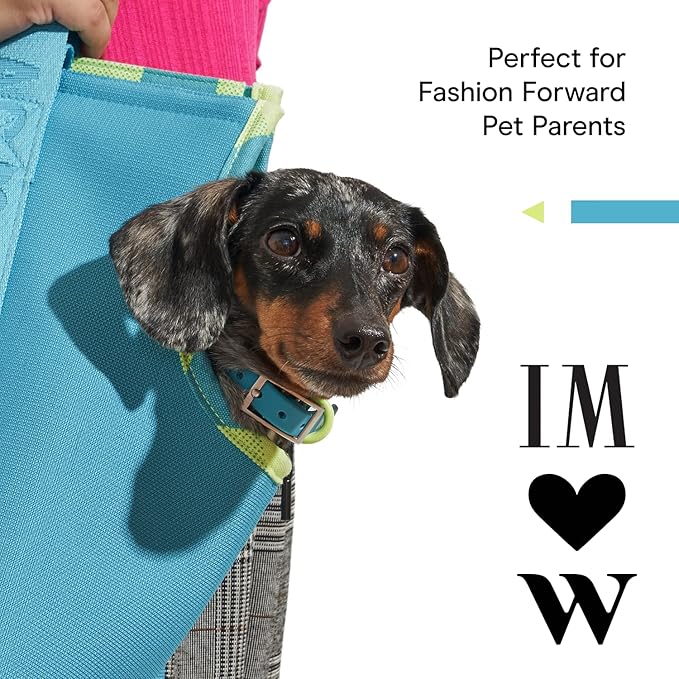 Wild One, Limited Edition, Designer Collection, Blue Dog Collar, Easy-Clean, All Weather Flex-Poly Strap with Metal, Durable, Dirt and Odor Resistant, Medium