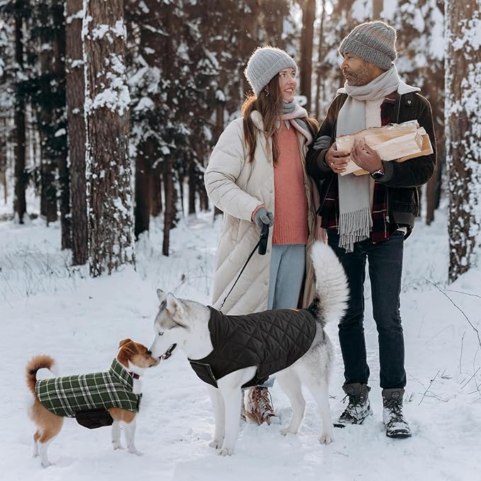Kuoser Warm Dog Coat, Waterproof Dog Jacket for Extra Large Dogs, Adjustable Durable XL Doggie Winter Coat Reversible Cozy Puppy Cold Weather Apparel from Small to Large Breed, Green XL