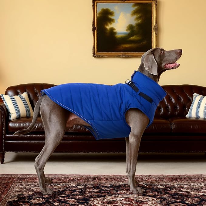Kuoser Large Dog Winter Jacket Waterproof L with Harness | ·-30°C Rated·Storm Hood·Built-in Leash·Husky Fit·Extreme Weather Protection, Blue L