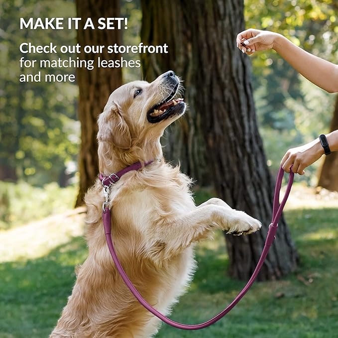 CollarDirect Rolled Leather Dog Collar, Soft Padded Round Puppy Collar, Handmade Genuine Leather Collar Dog Small Large Cat Collars 13 Colors (15-19 Inch, Pink Smooth)