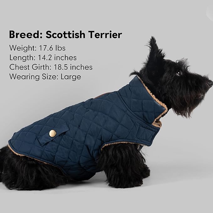 azuza Dog Jacket Waterproof & Windproof Dog Coat for Small Dogs with Thick Fleece, High Collar with Leash Hole, Adjustable Velcro & Elastic Belly, Navy XL