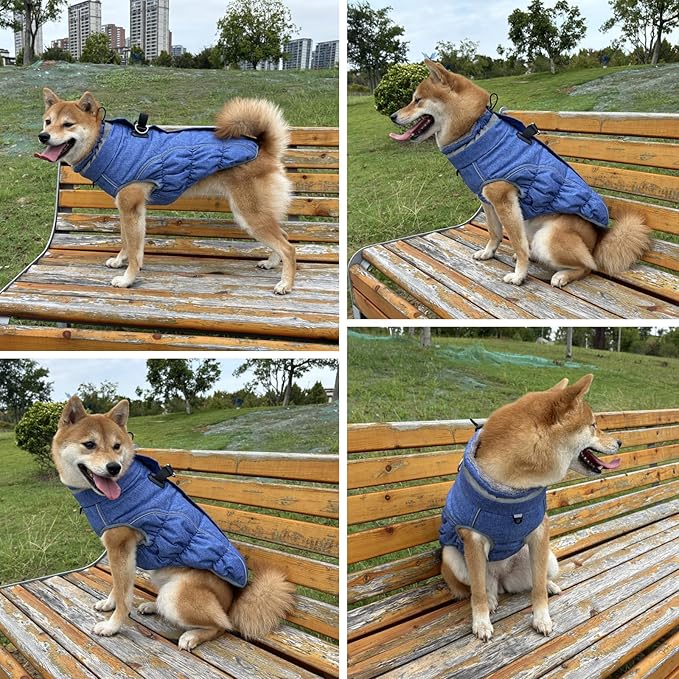 Malier Dog Coat, Reflective Dog Jacket Waterproof Windproof Puppy Cold Weather Coats with Harness Built in, Winter Extra Warm Pet Coat Fleece Vest for Small Large Pets and Puppy (Blue, Small)