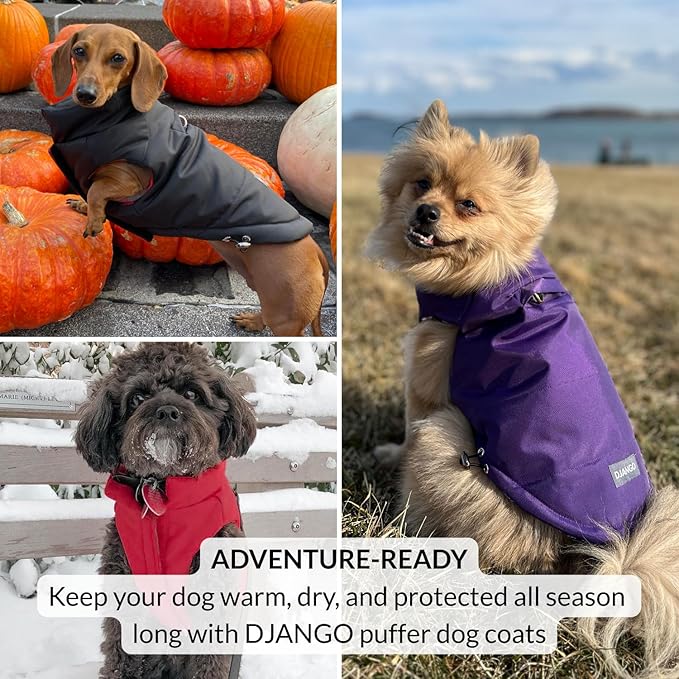 DJANGO Reversible Puffer Dog Coat – Warm Winter Dog Jacket & Water-Repellent Insulated Dog Coat with Harness Hole, Windproof, Adjustable Fit for Small & Medium Dogs, Dachshunds – Lava Red, Medium
