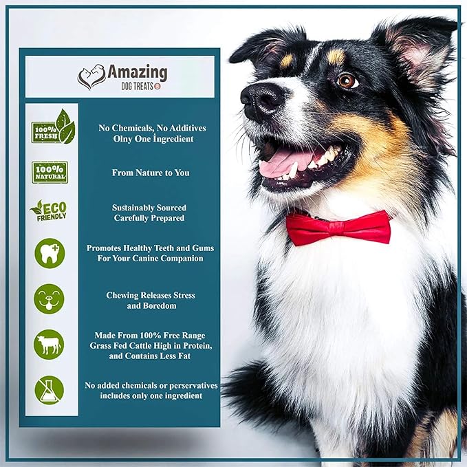 Amazing Dog Treats - Beef Cheek Strips Premium Dog Chew (6 Inch - 25 Pack) - NO Odor - Thick Cut - Rawhide Alternative - Beef Cheek Slice Chip Sticks - No Dyes, Chemicals, or Preservatives
